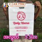 အဖြူရောင်အိတ် အလွတ်  ပလတ်စတစ် Shopping အိတ် - #1(8
